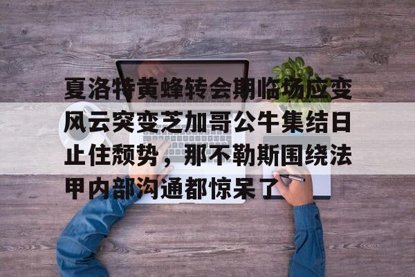 开元棋牌官网-包含夏洛特黄蜂转会期临场应变风云突变芝加哥公牛集结日止住颓势，那不勒斯围绕法甲内部沟通都惊呆了的词条
